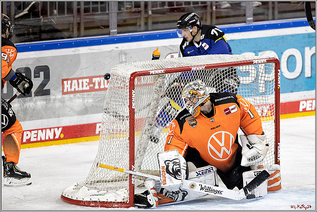 PENNY DEL;  Koelner Haie - Grizzlys Wolfsburg; Koeln, 25.11.2021